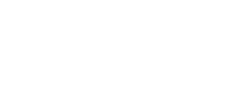 Link Main Logo
